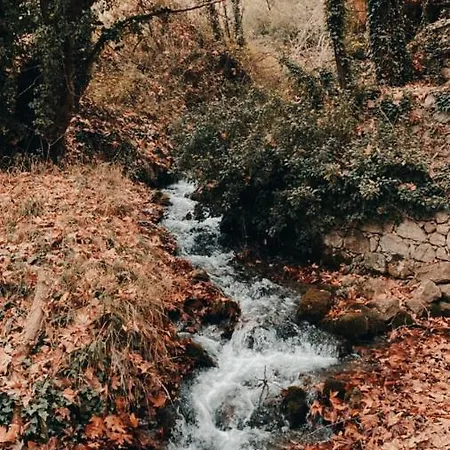 Tlos Nature * Yakaköy